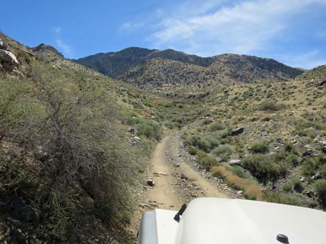 Hen Spring Canyon Road