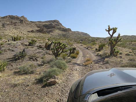 Lime Canyon Road