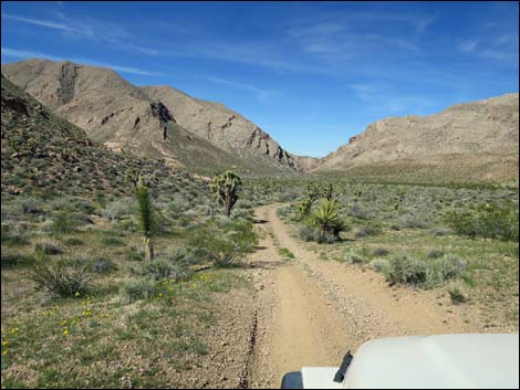 Lime Canyon Road