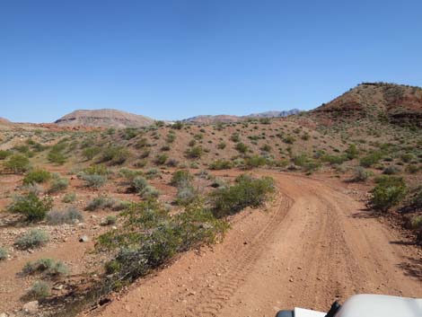 Mud Wash Shortcut Road