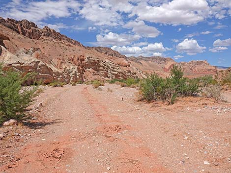 Mud Wash Road