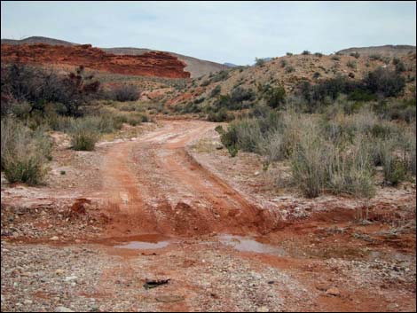 Red Rock Springs Road