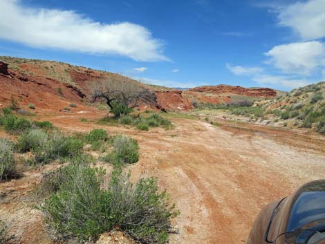 Red Rock Spring Road