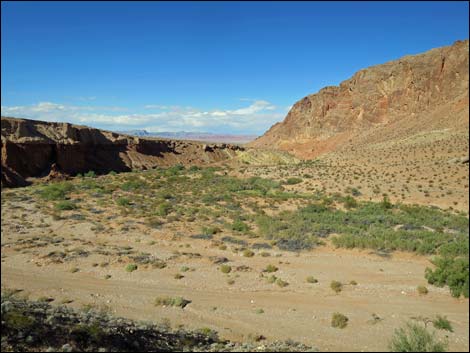 Red Bluff Spring Overlook Road