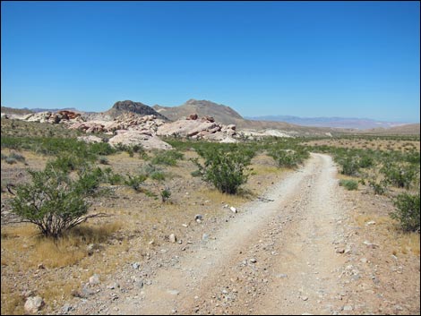 Sand Wash--Mud Wash Loop Road