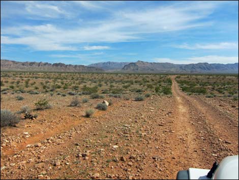 Sand Wash--Mud Wash Loop Road