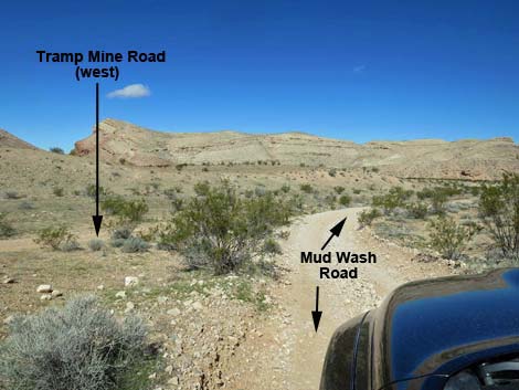 Tramp Mine Road