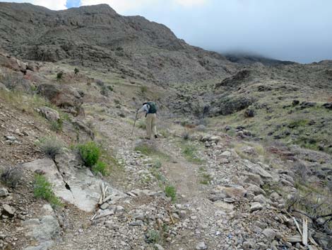 Tramp Mine Road