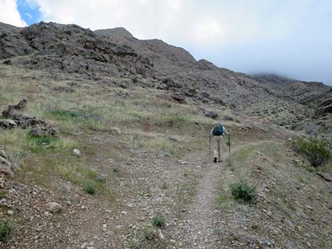 Tramp Mine Road