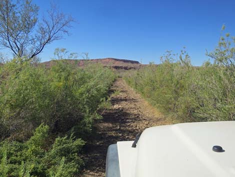 Virgin River Valley Overlook Road