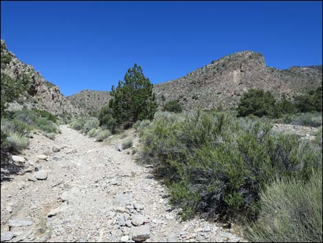 Virgin Peak Road