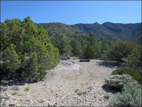 Virgin Peak Road