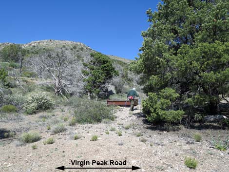 Virgin Peak Road