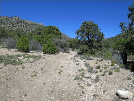 Virgin Peak Road