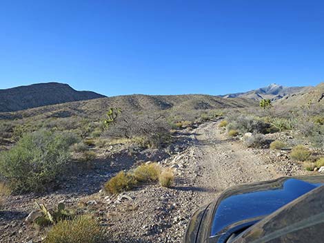 Virgin Peak Road