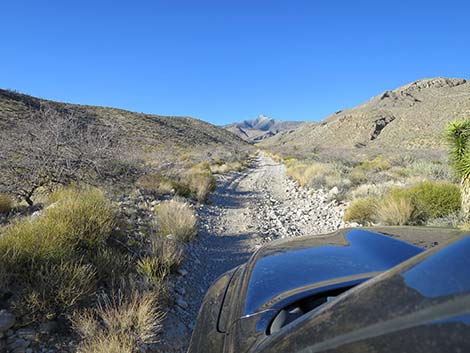 Virgin Peak Road