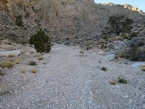 Virgin Peak Road