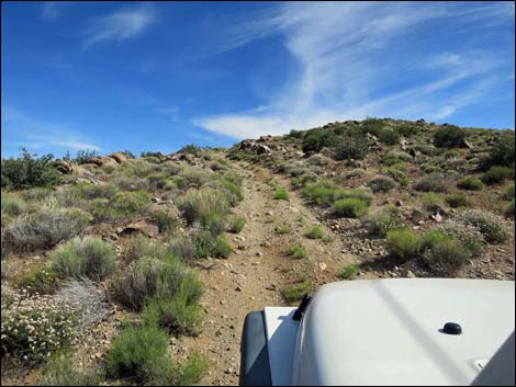 Windmill Mine Road