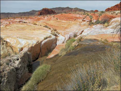 Red Rock Springs