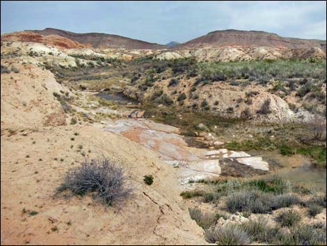 Red Rock Springs