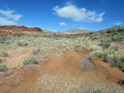 Red Rock Springs