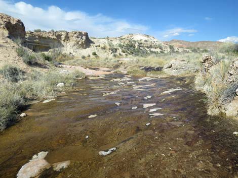 Red Rock Springs