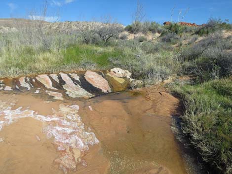 Red Rock Springs