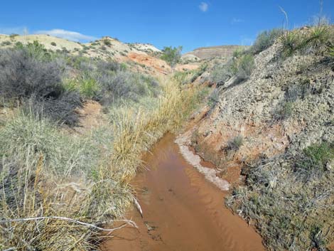 Red Rock Springs