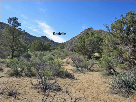 Shark Tooth Peak