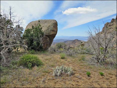 Shark Tooth Peak