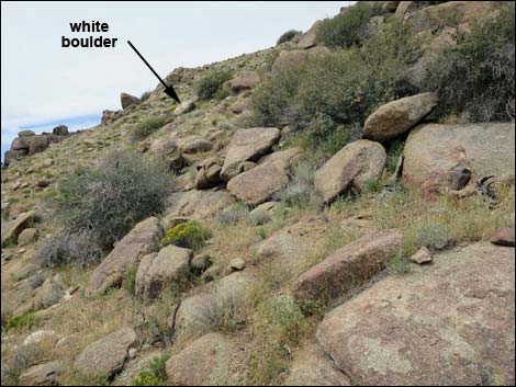 Shark Tooth Peak