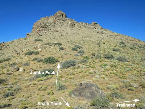 Shark Tooth Peak