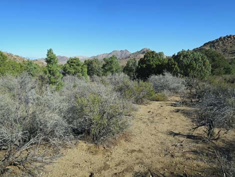 Shark Tooth Peak