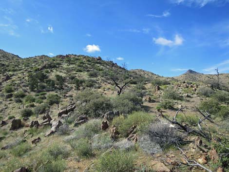 Summit Peak