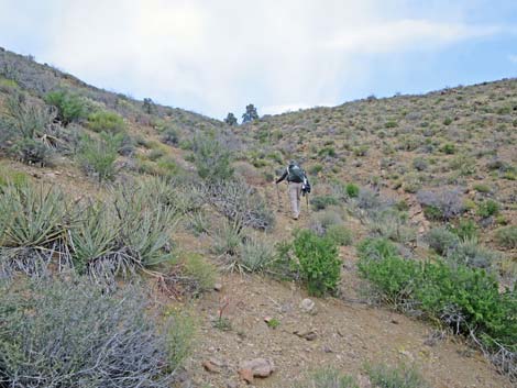 Summit Peak