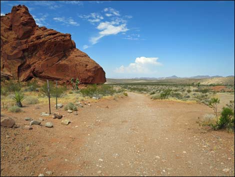 Whitney Pocket Overlook Trail