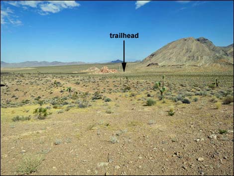 Whitney Pocket Overlook Trail