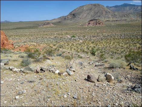 Whitney Pocket Overlook Trail