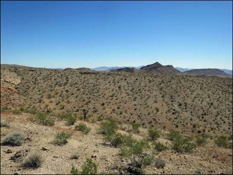 Whitney Pocket Overlook Trail