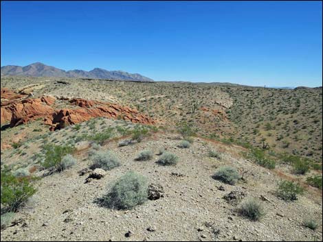 Whitney Pocket Overlook Trail