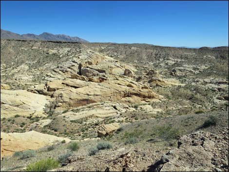 Whitney Pocket Overlook Trail