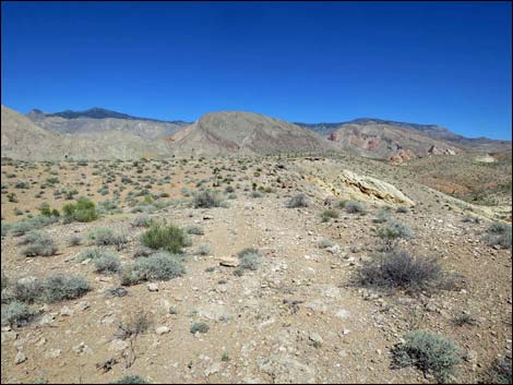 Whitney Pocket Overlook Trail