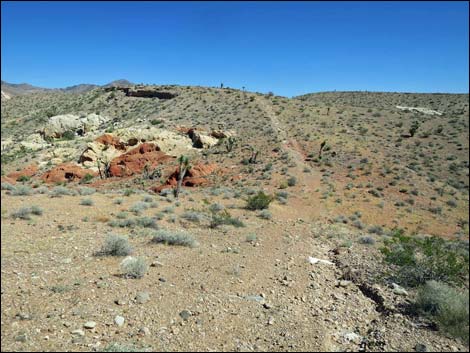 Whitney Pocket Overlook Trail