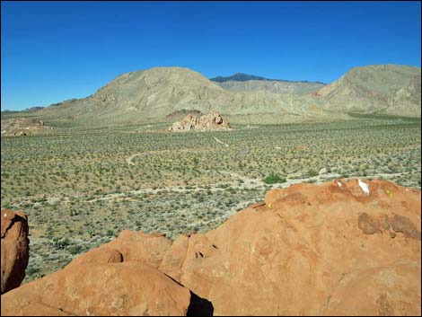 Whitney Pocket Overlook Trail