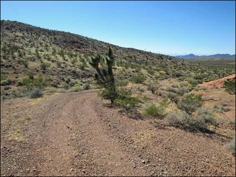 Whitney Pocket Overlook Trail