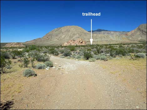 Whitney Pocket Overlook Trail