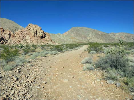 Whitney Pocket Overlook Trail