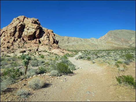 Whitney Pocket Overlook Trail