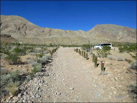 Whitney Pocket Overlook Trail