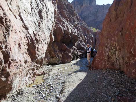 Arizona Hot Spring